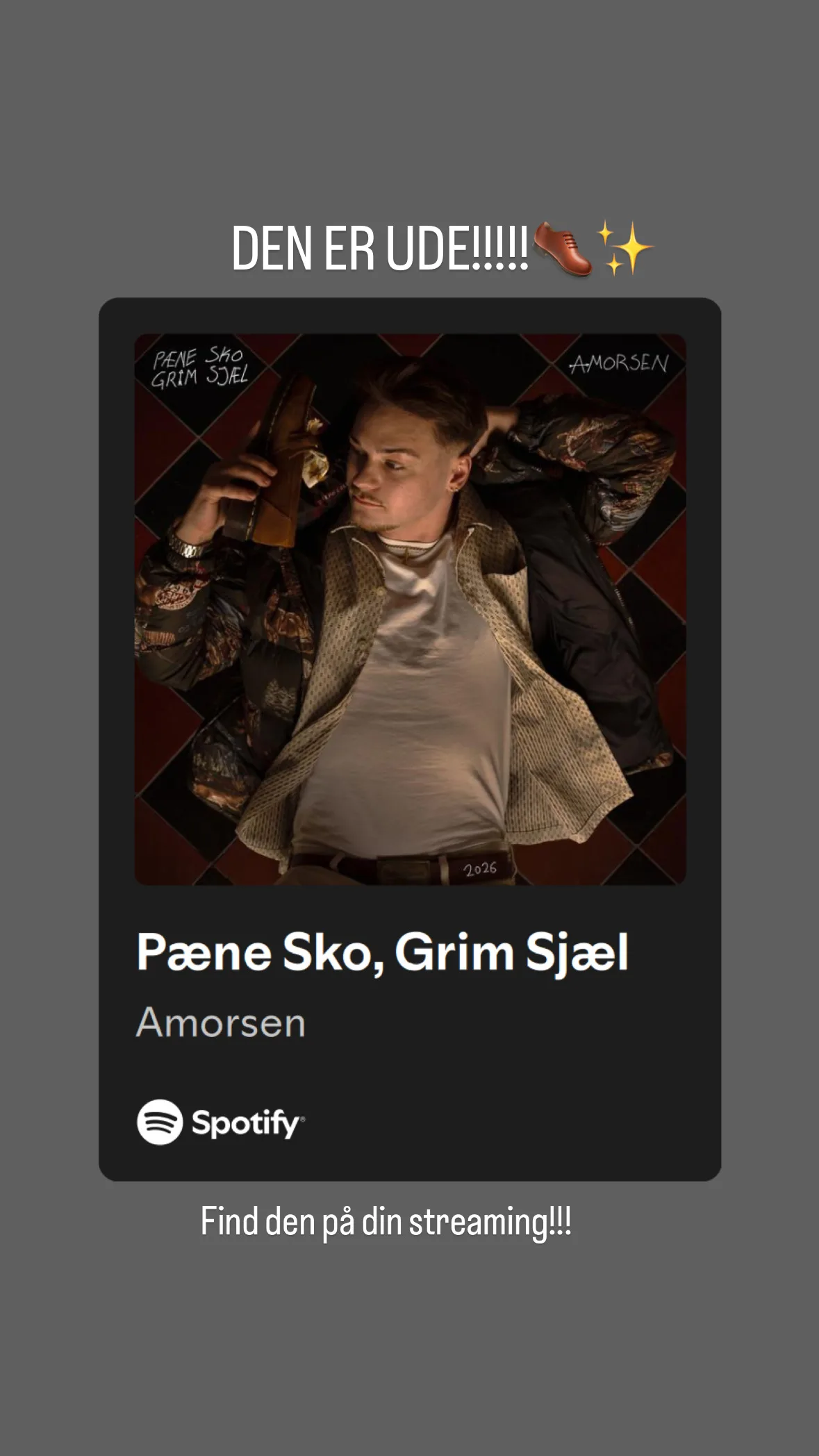 Pæne sko, grim sjæl